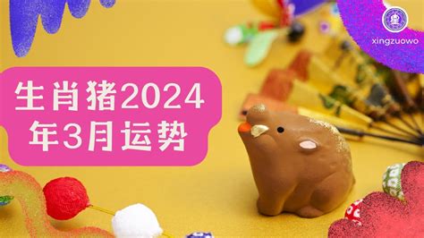 猪年2024运程|属猪2024年运势及运程详解 2024年属猪人的全年每月运势